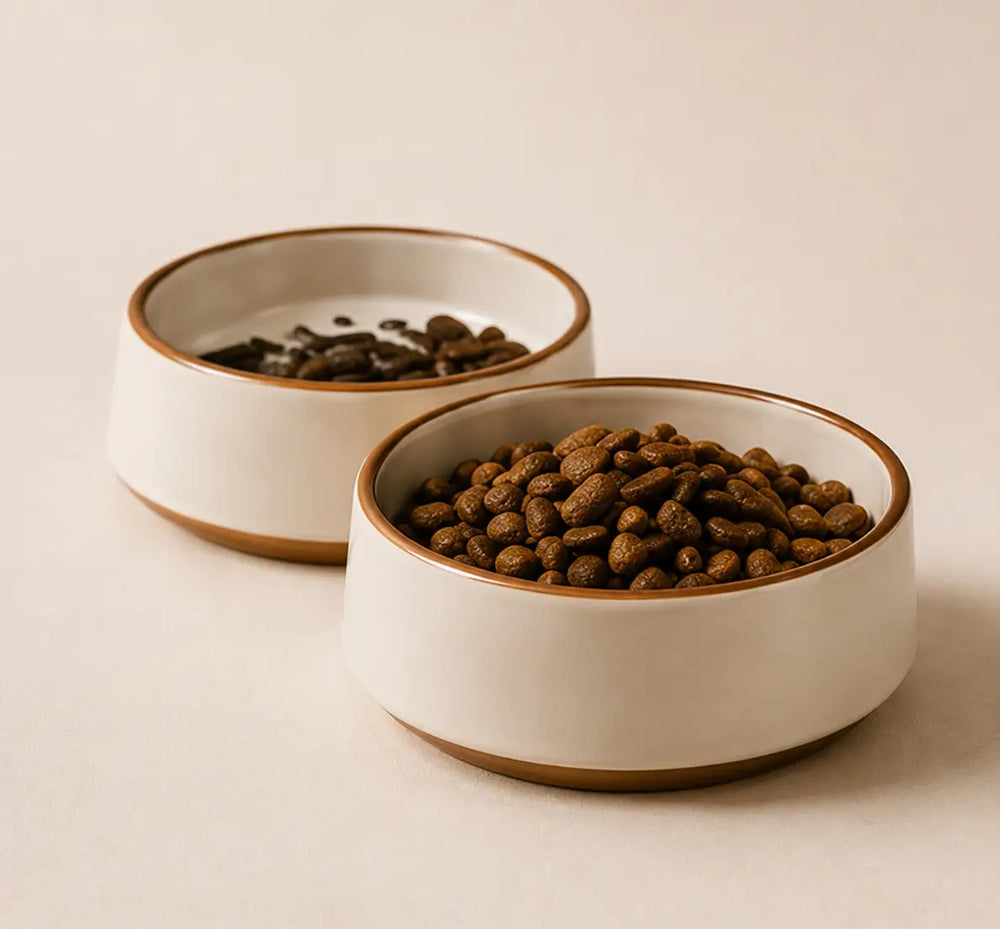 Bowls & Feeders