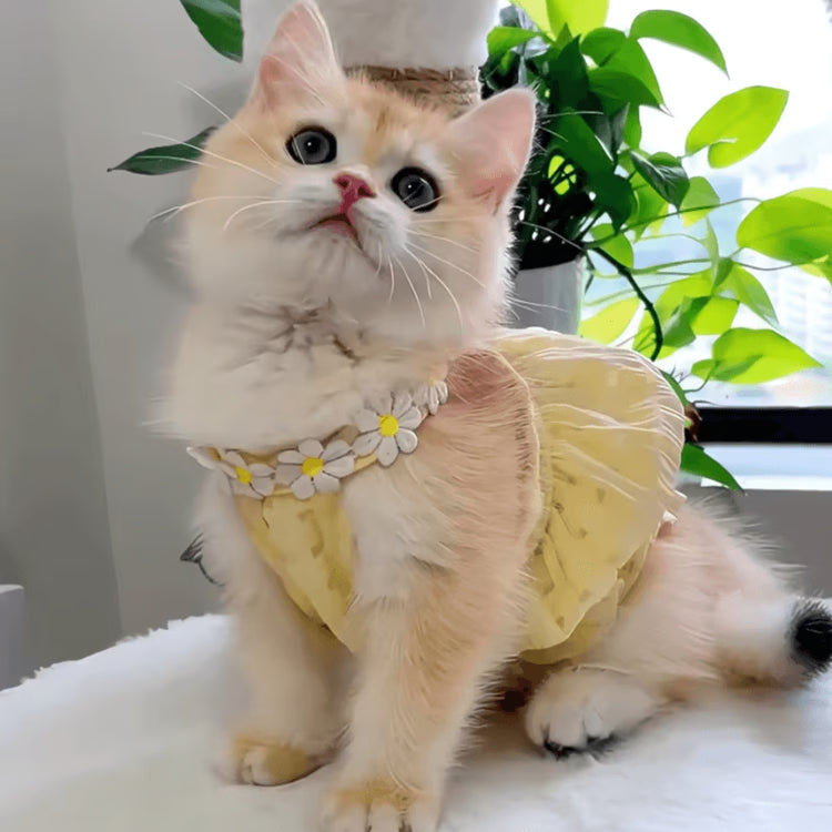 SunBloom Floral Princess Dress for Cats & Small Dogs