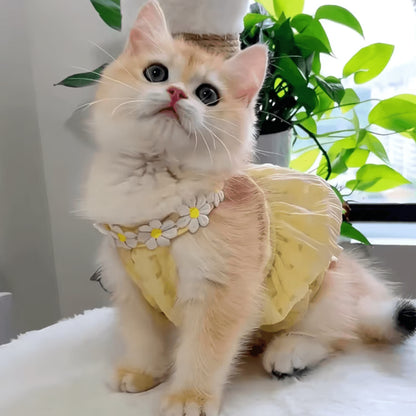 SunBloom Floral Princess Dress for Cats & Small Dogs