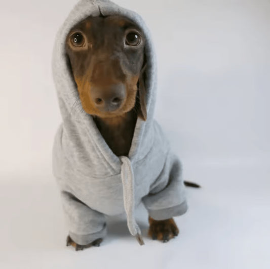 Sausage Pup Cozy Hoodie for Small Dogs