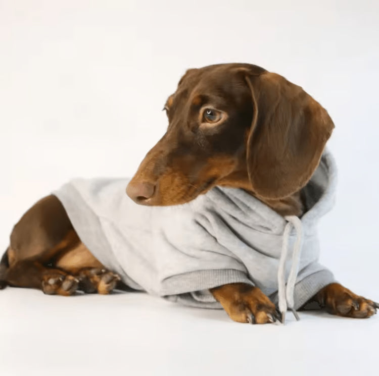 Sausage Pup Cozy Hoodie for Small Dogs