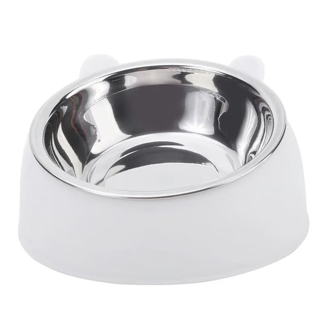 Inclined Stainless Steel Pet Food and Water Bowl for Cats and Small Dogs