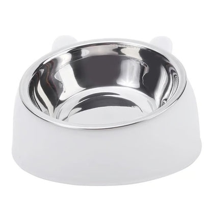 Inclined Stainless Steel Pet Food and Water Bowl for Cats and Small Dogs