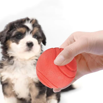 Indestructible Rubber Dog Toy Ball for Small and Medium Dogs - Bite-Resistant Interactive Training Game