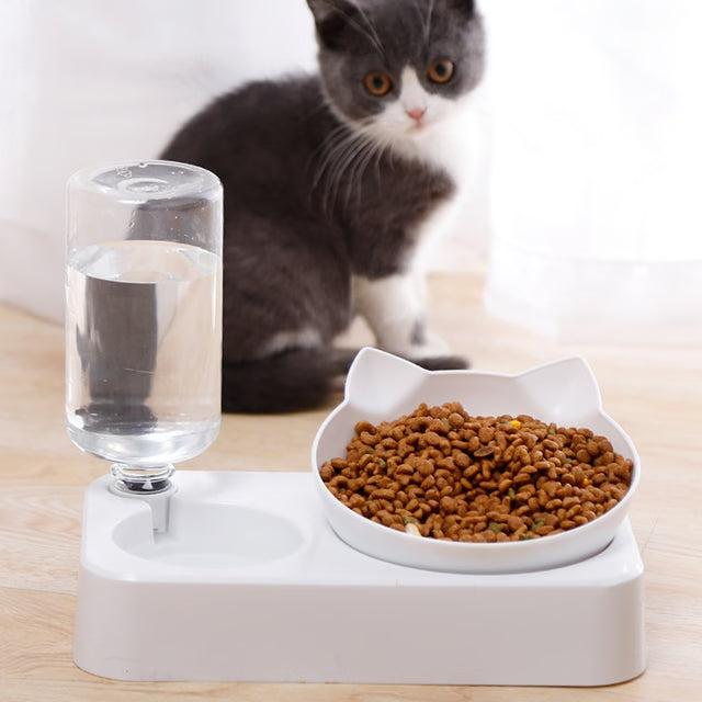 Dog Cat Feeding Double Bowl