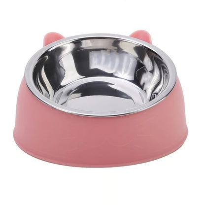 Inclined Stainless Steel Pet Food and Water Bowl for Cats and Small Dogs